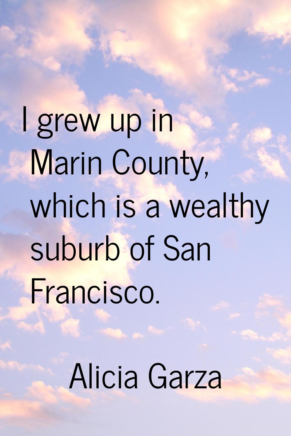 I grew up in Marin County, which is a wealthy suburb of San Francisco.