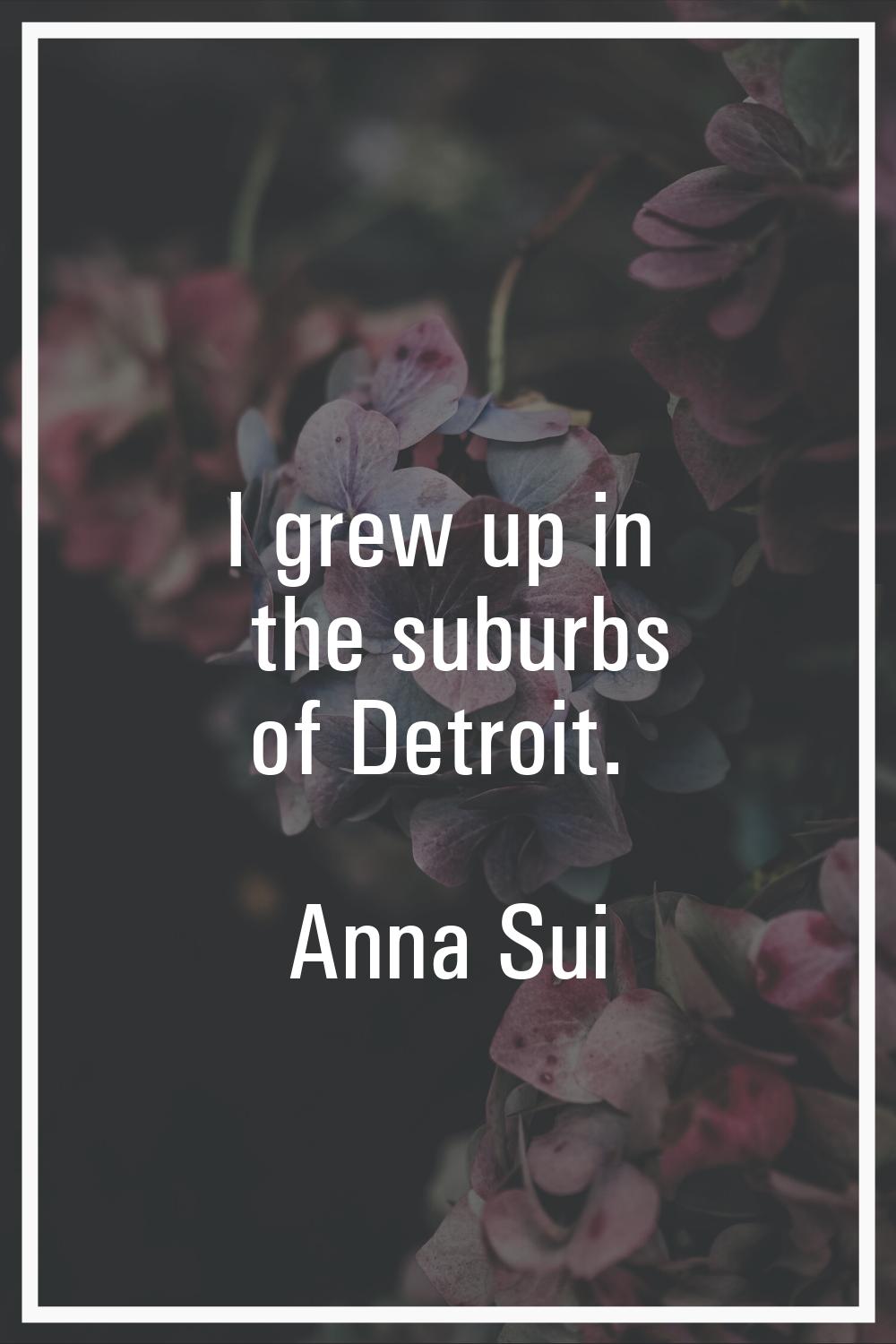I grew up in the suburbs of Detroit.