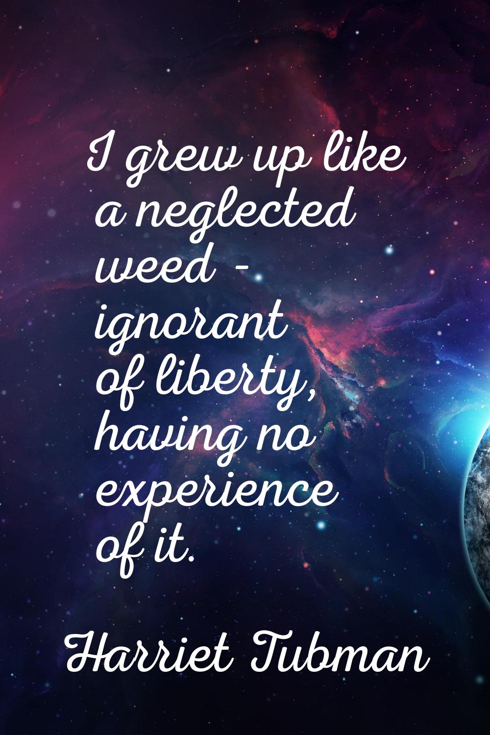 I grew up like a neglected weed - ignorant of liberty, having no experience of it.