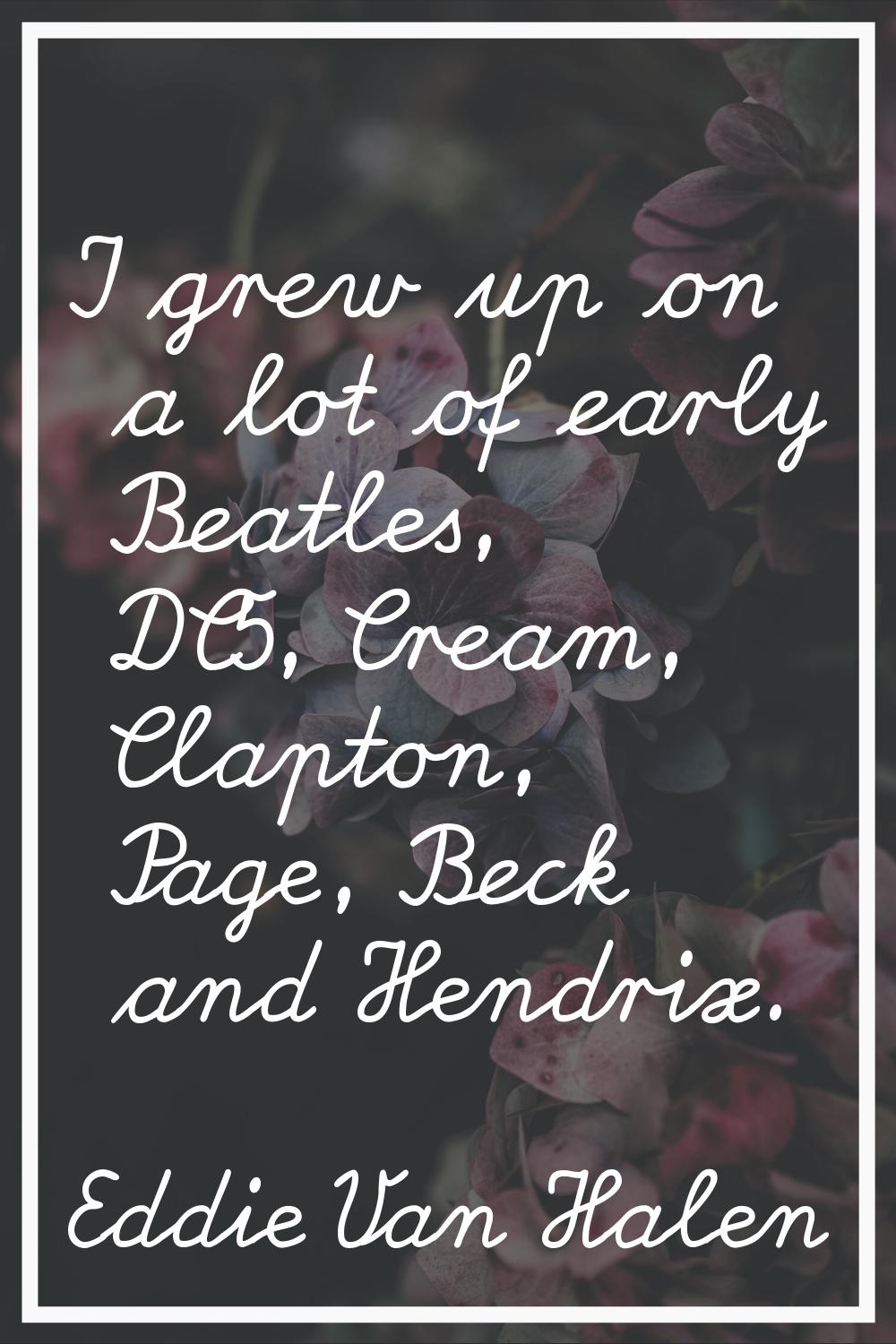 I grew up on a lot of early Beatles, DC5, Cream, Clapton, Page, Beck and Hendrix.
