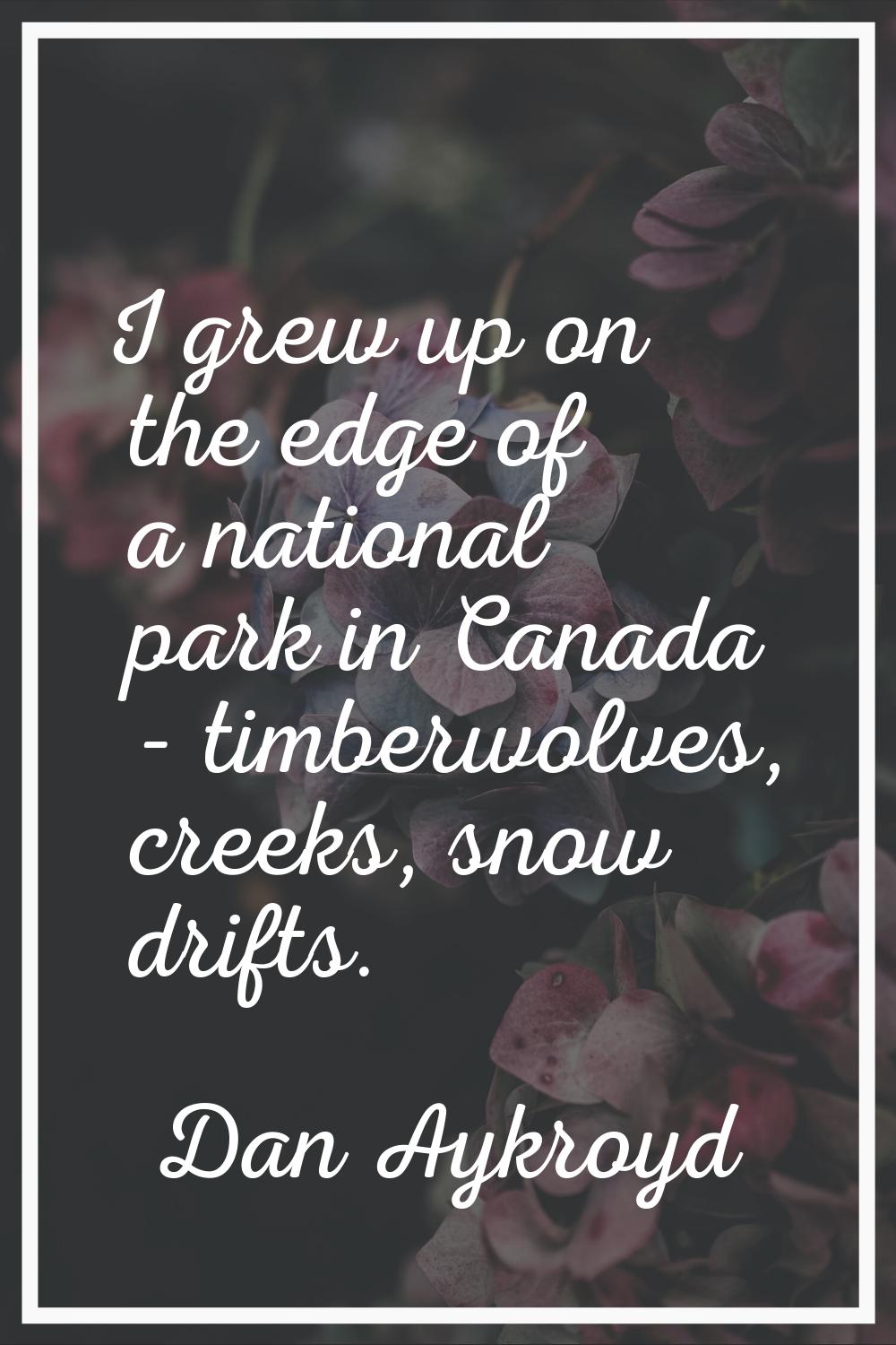 I grew up on the edge of a national park in Canada - timberwolves, creeks, snow drifts.