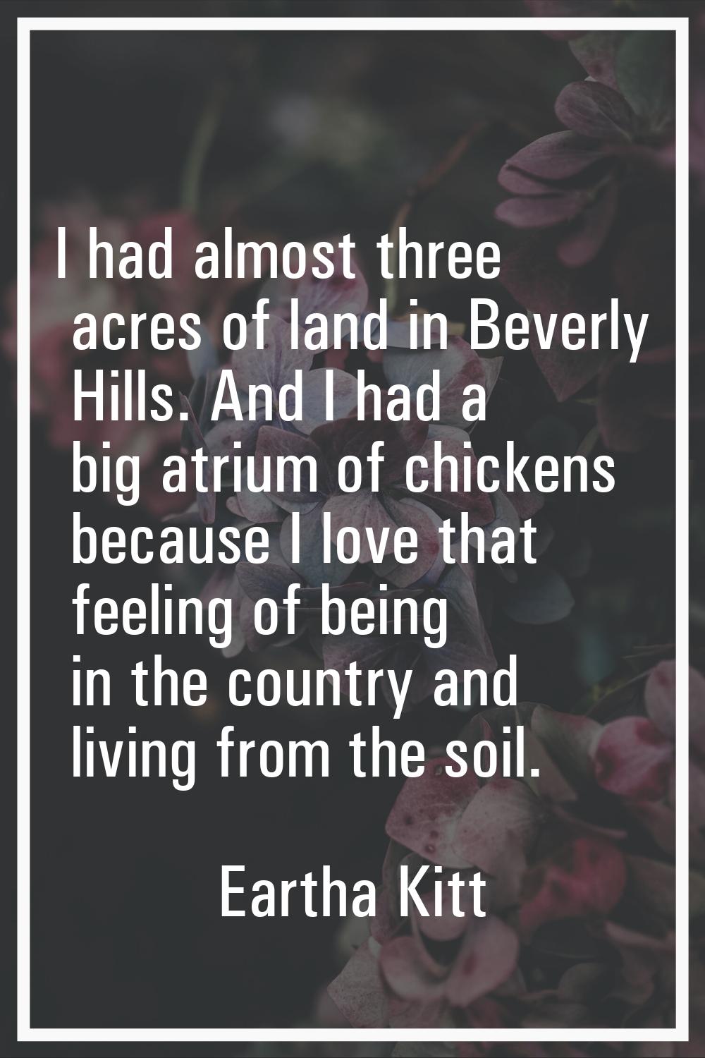 I had almost three acres of land in Beverly Hills. And I had a big atrium of chickens because I lov