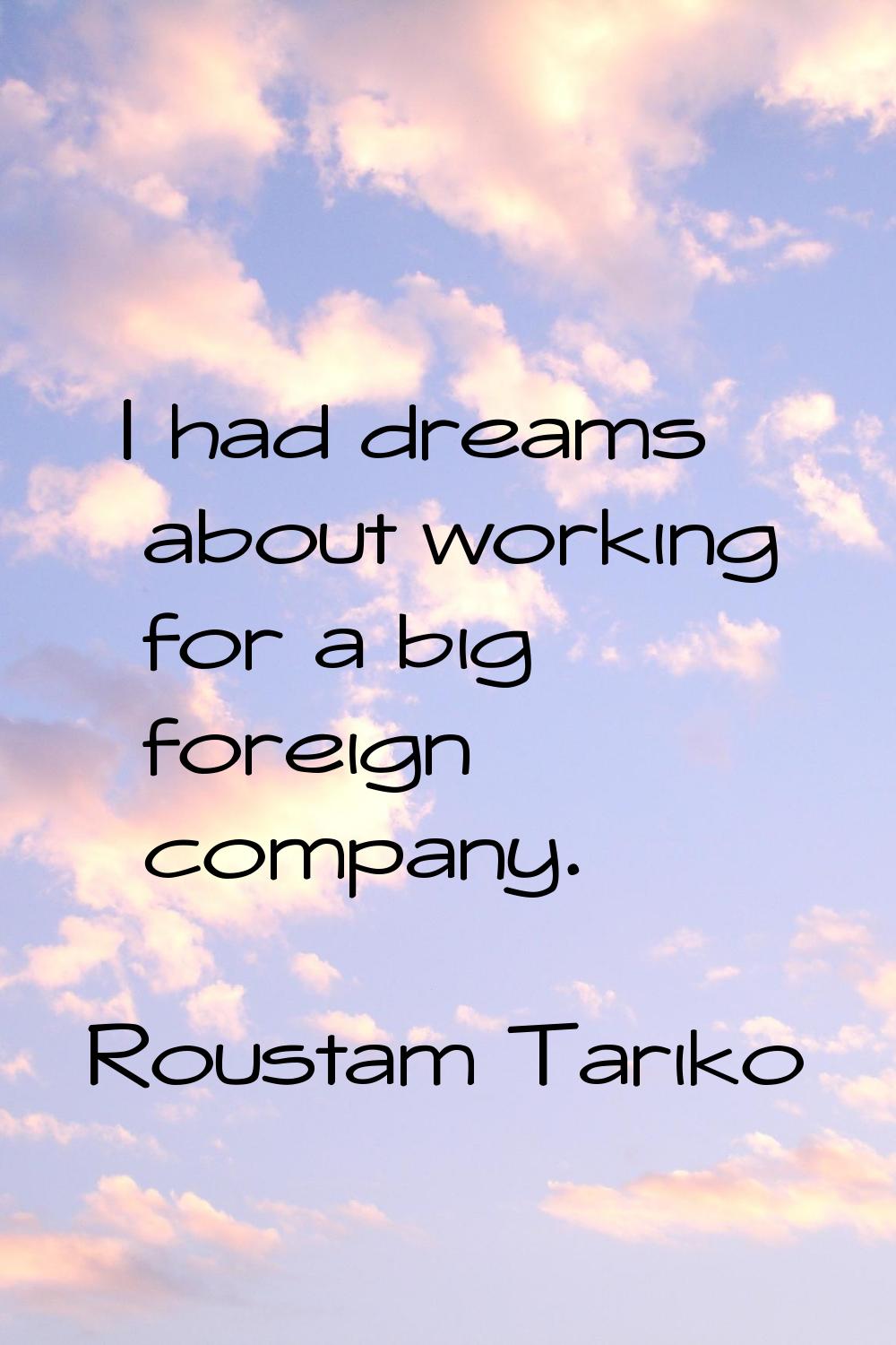I had dreams about working for a big foreign company.