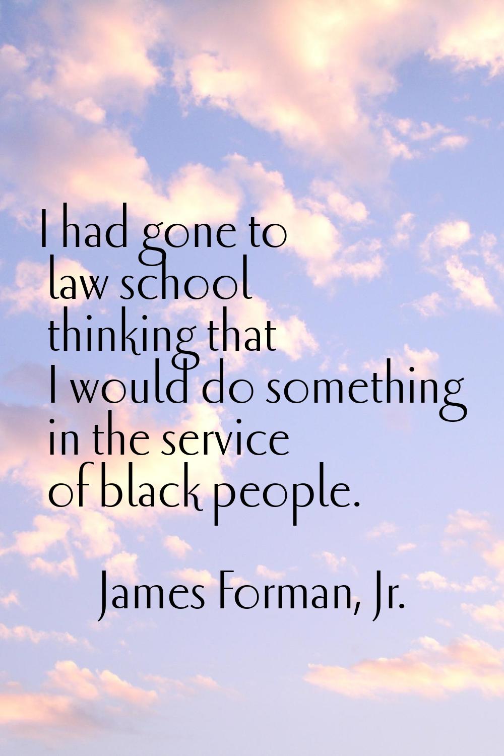 I had gone to law school thinking that I would do something in the service of black people.