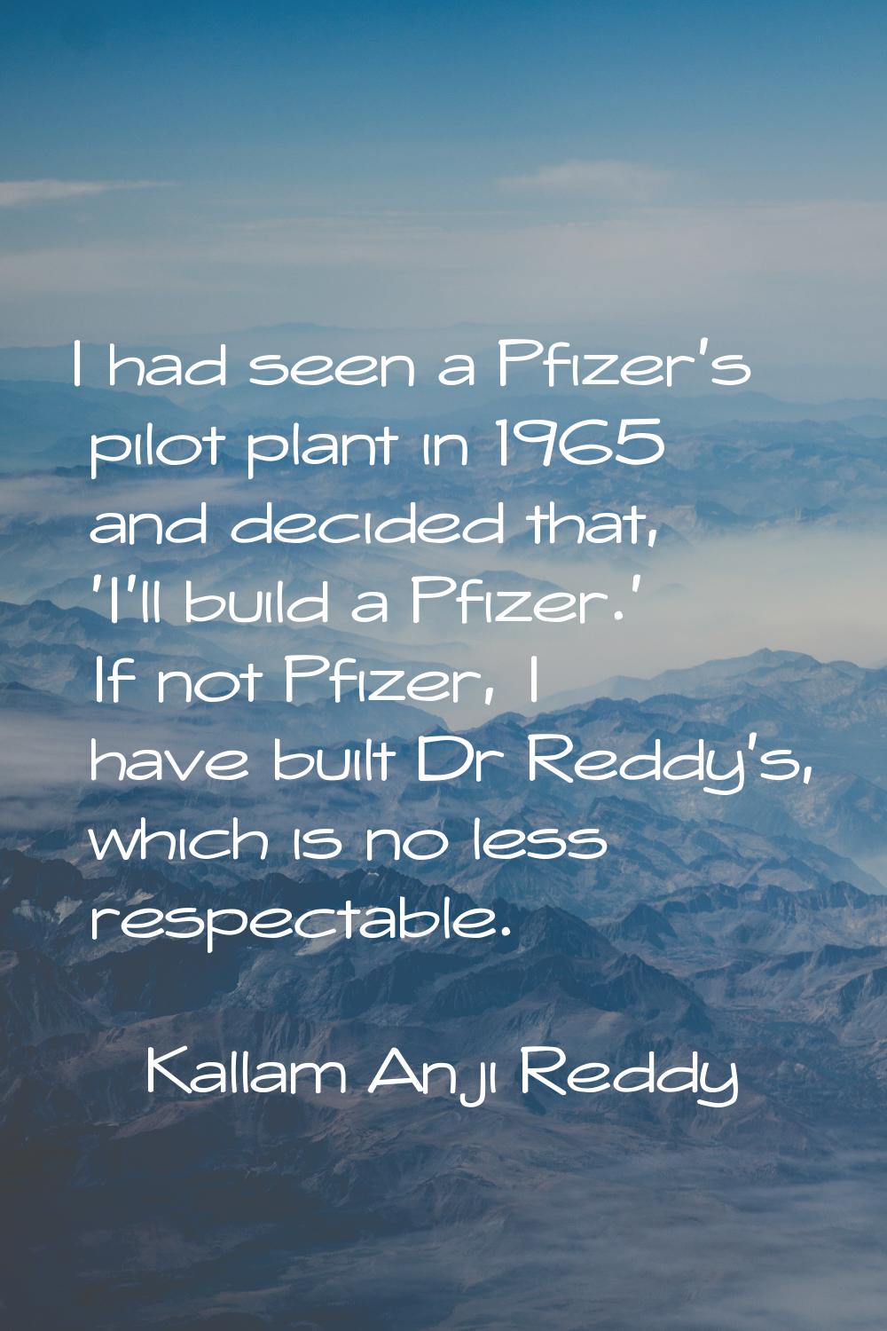I had seen a Pfizer's pilot plant in 1965 and decided that, 'I'll build a Pfizer.' If not Pfizer, I