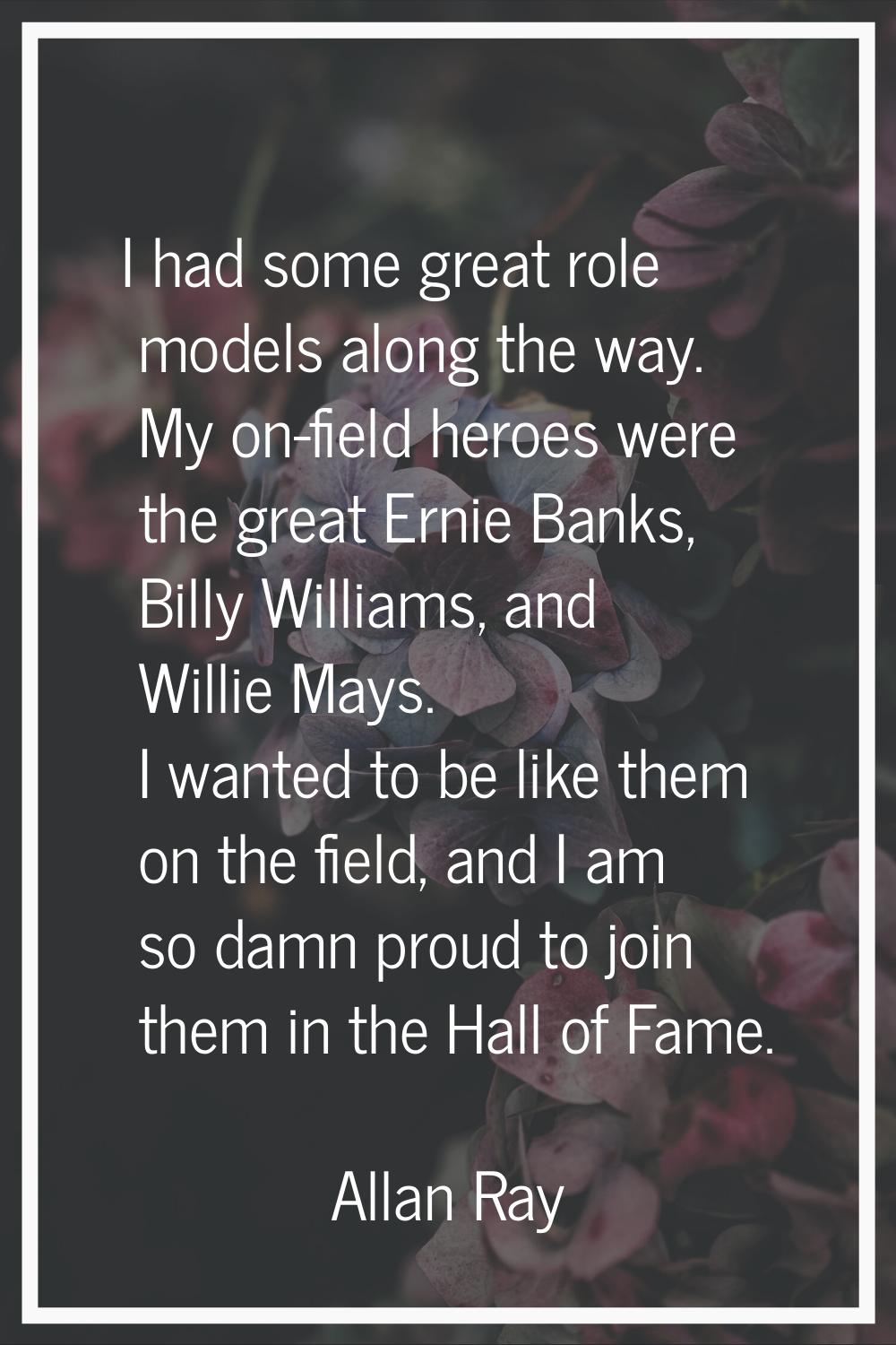 I had some great role models along the way. My on-field heroes were the great Ernie Banks, Billy Wi