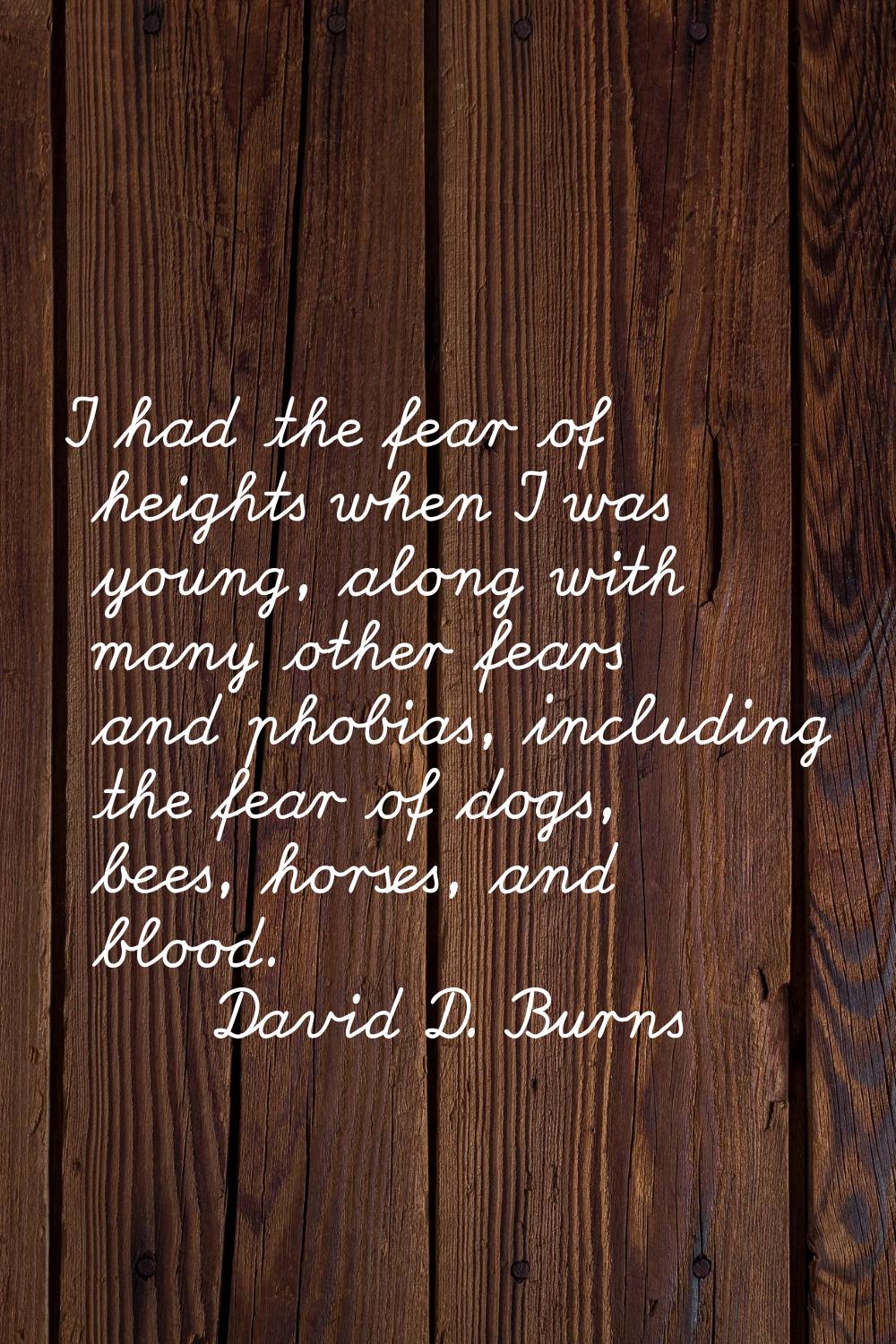 I had the fear of heights when I was young, along with many other fears and phobias, including the 