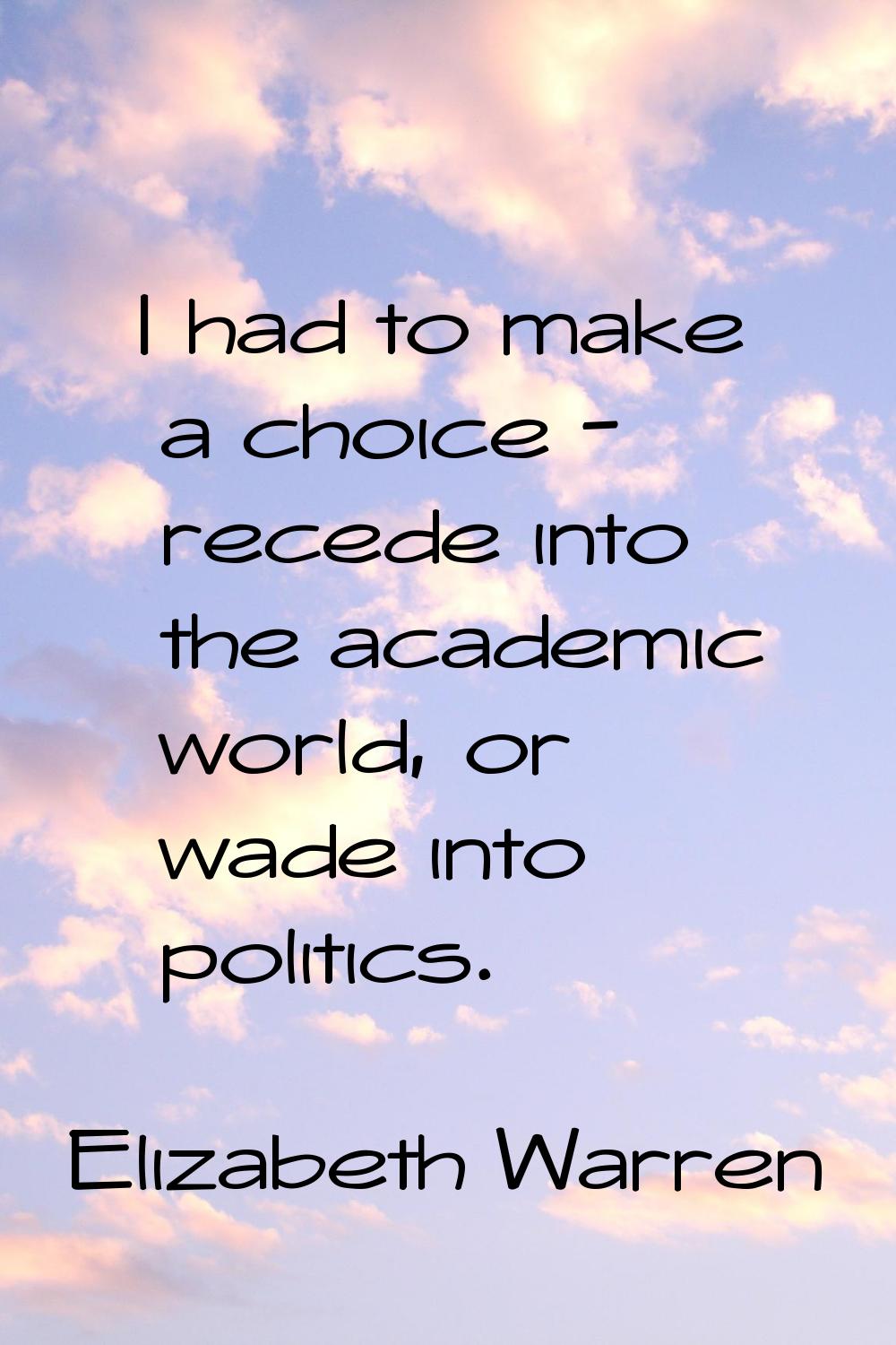 I had to make a choice - recede into the academic world, or wade into politics.