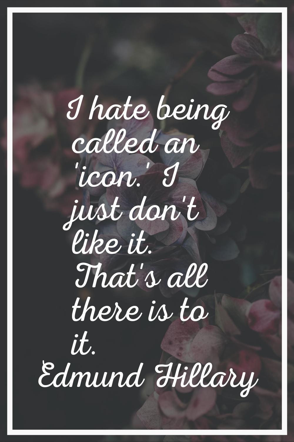 I hate being called an 'icon.' I just don't like it. That's all there is to it.