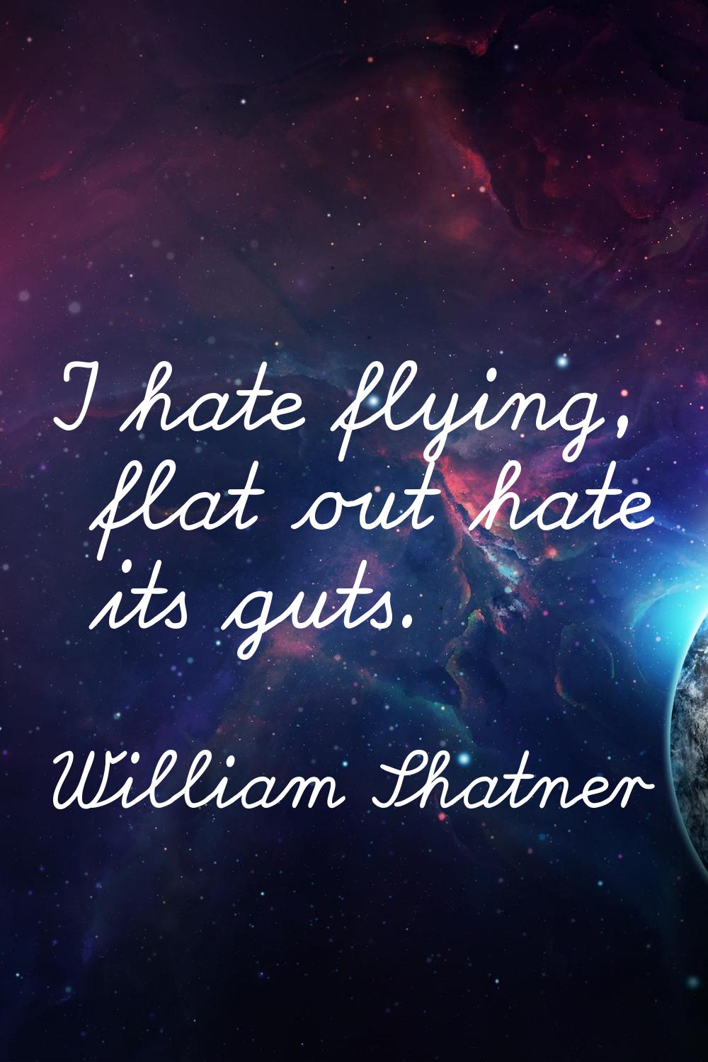 I hate flying, flat out hate its guts.