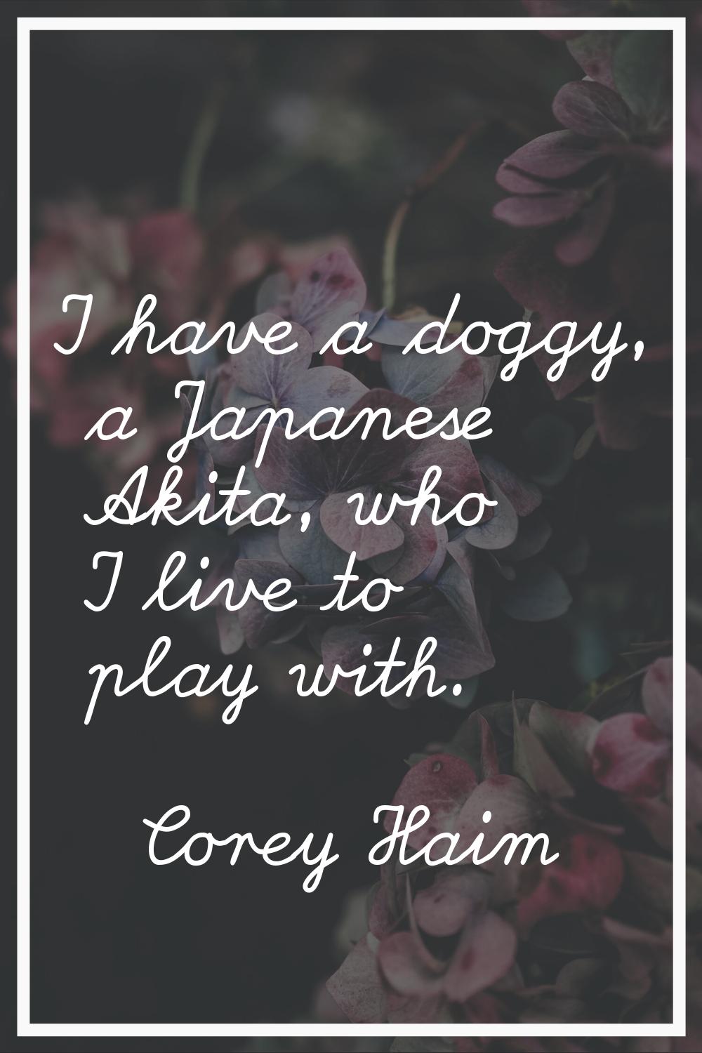 I have a doggy, a Japanese Akita, who I live to play with.