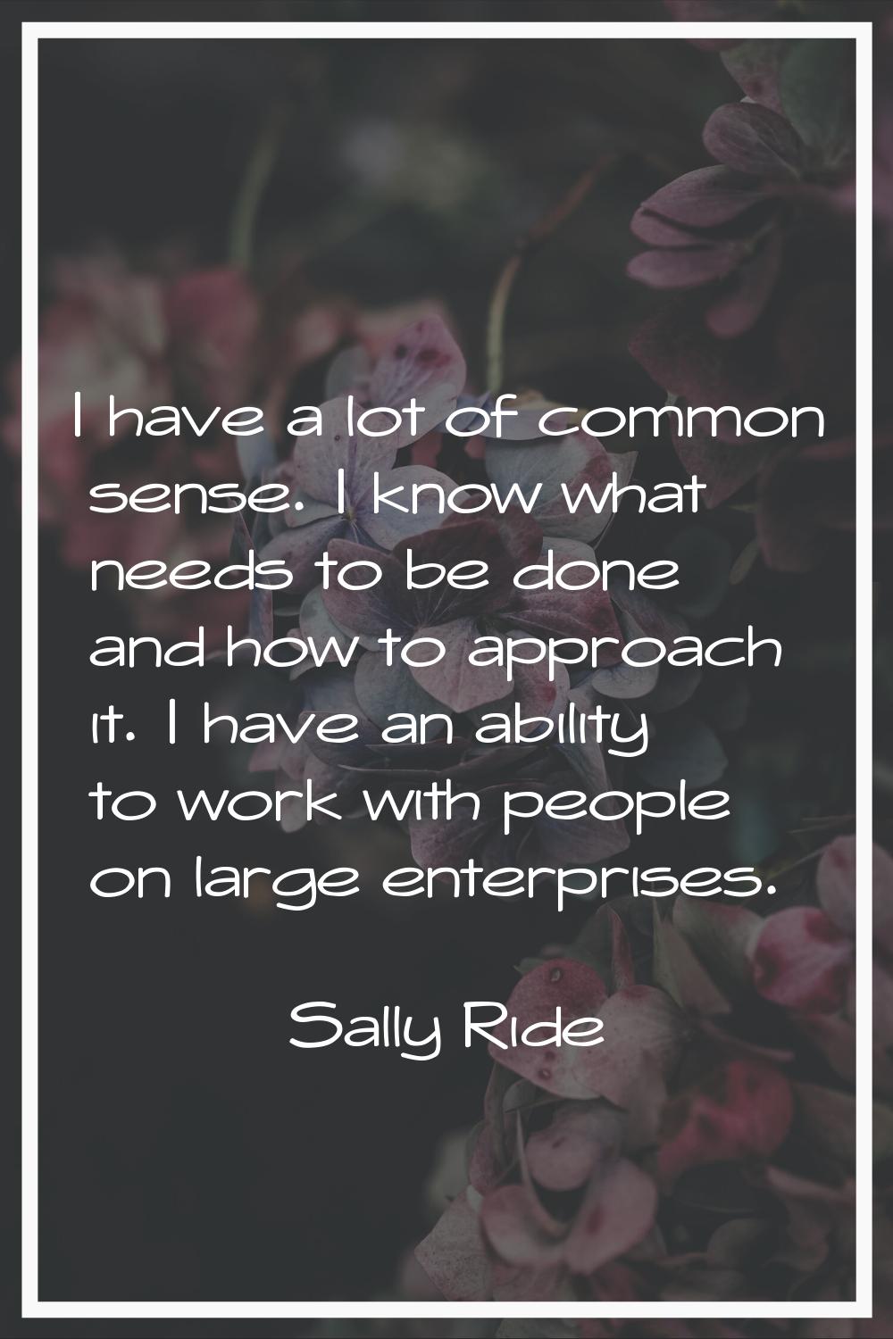 I have a lot of common sense. I know what needs to be done and how to approach it. I have an abilit