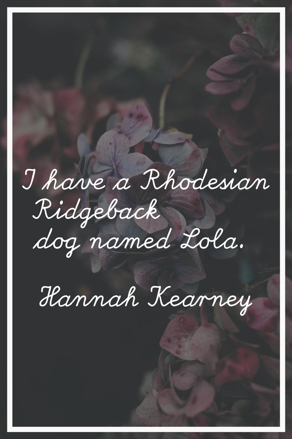 I have a Rhodesian Ridgeback dog named Lola.