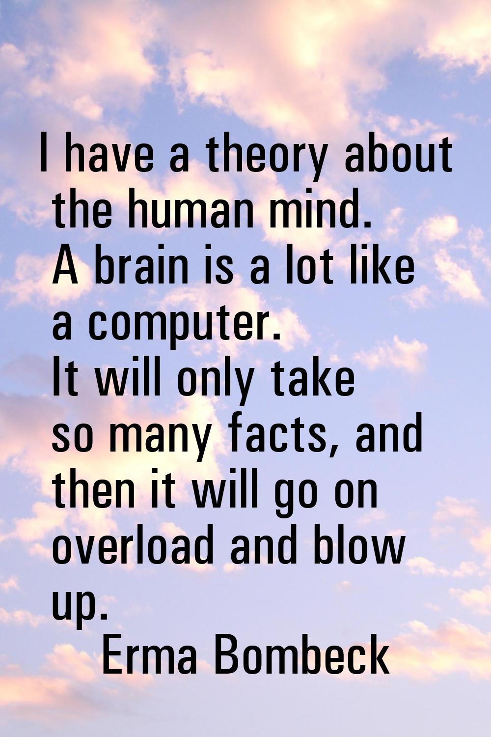 I have a theory about the human mind. A brain is a lot like a computer. It will only take so many f