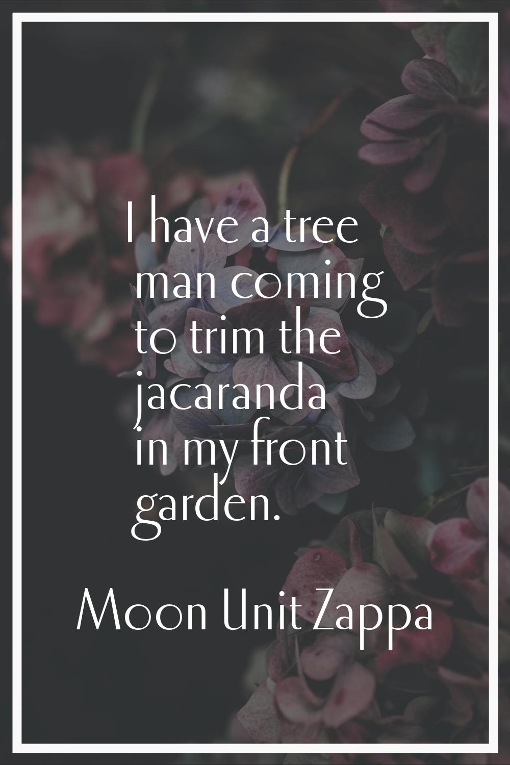 I have a tree man coming to trim the jacaranda in my front garden.