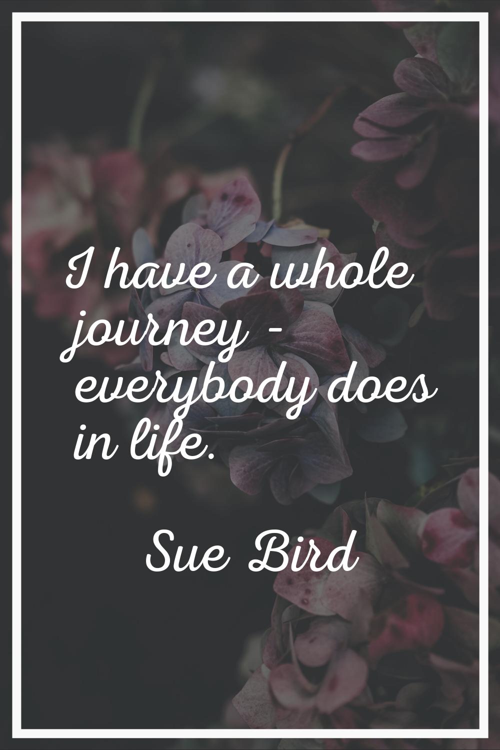 I have a whole journey - everybody does in life.