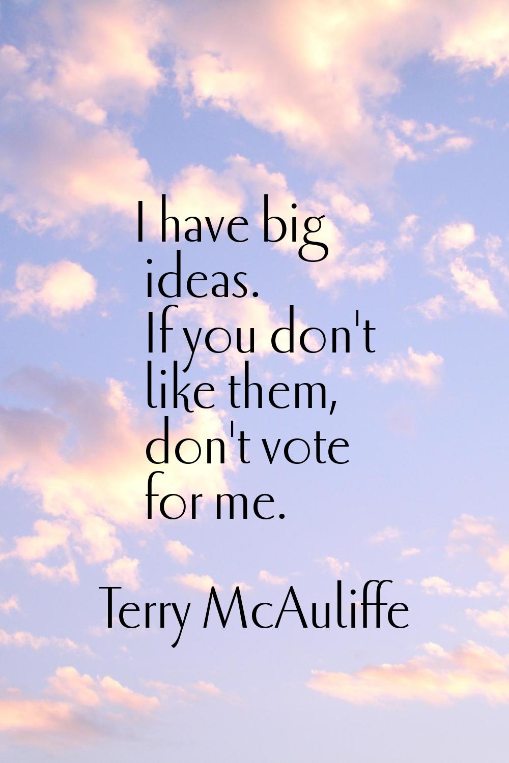 I have big ideas. If you don't like them, don't vote for me.