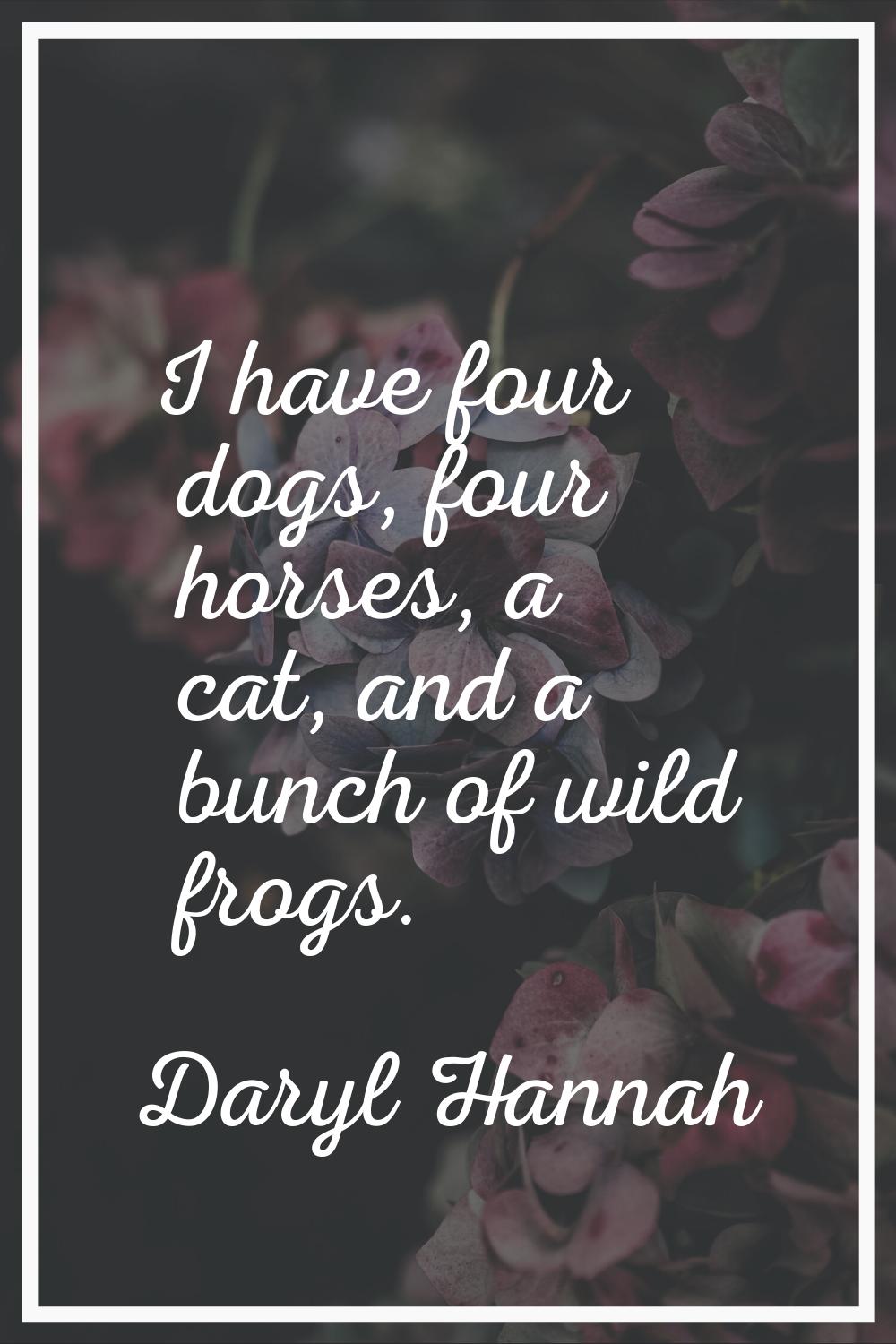 I have four dogs, four horses, a cat, and a bunch of wild frogs.