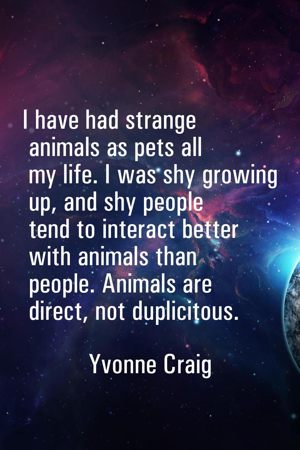 I have had strange animals as pets all my life. I was shy growing up, and shy people tend to intera