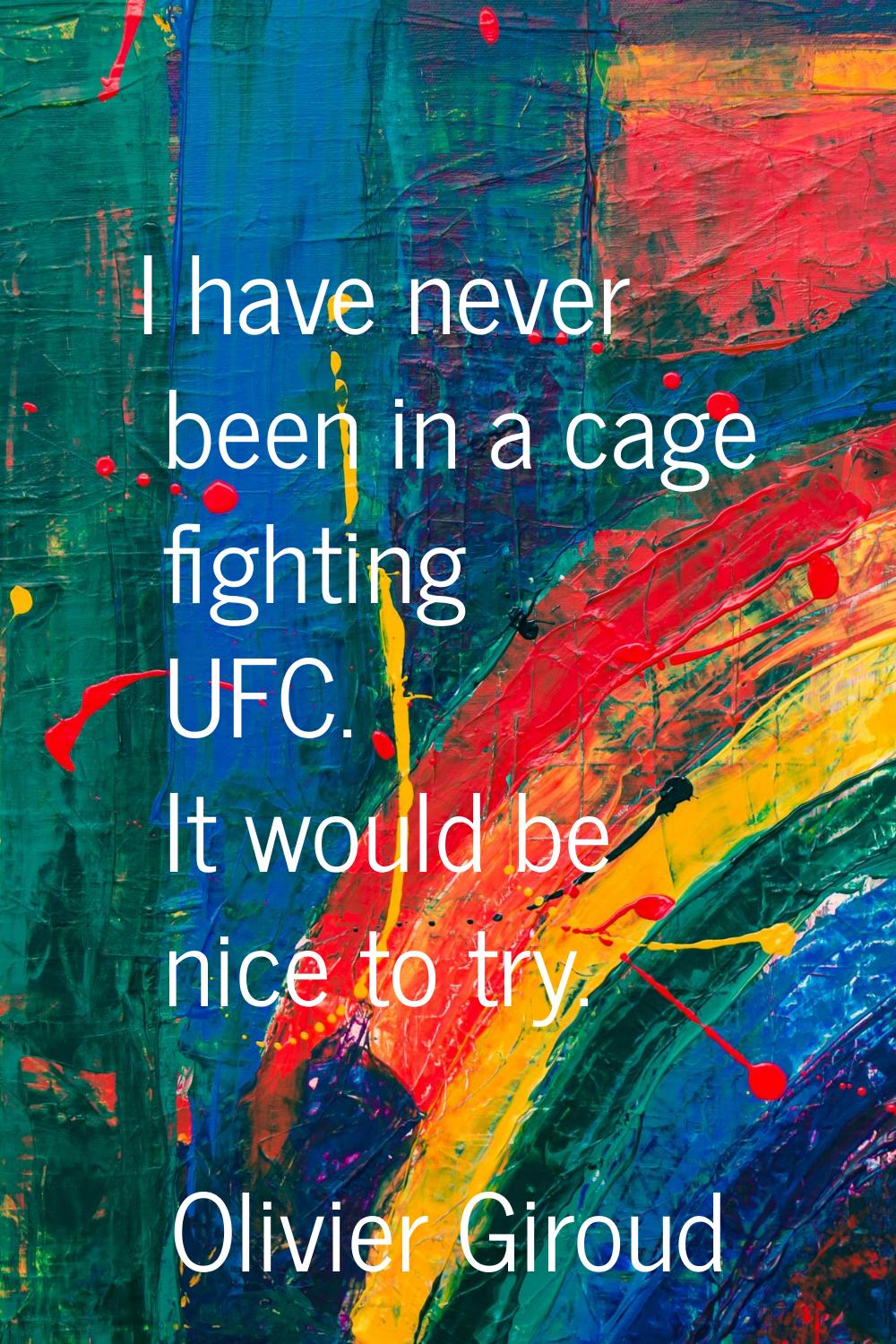 I have never been in a cage fighting UFC. It would be nice to try.