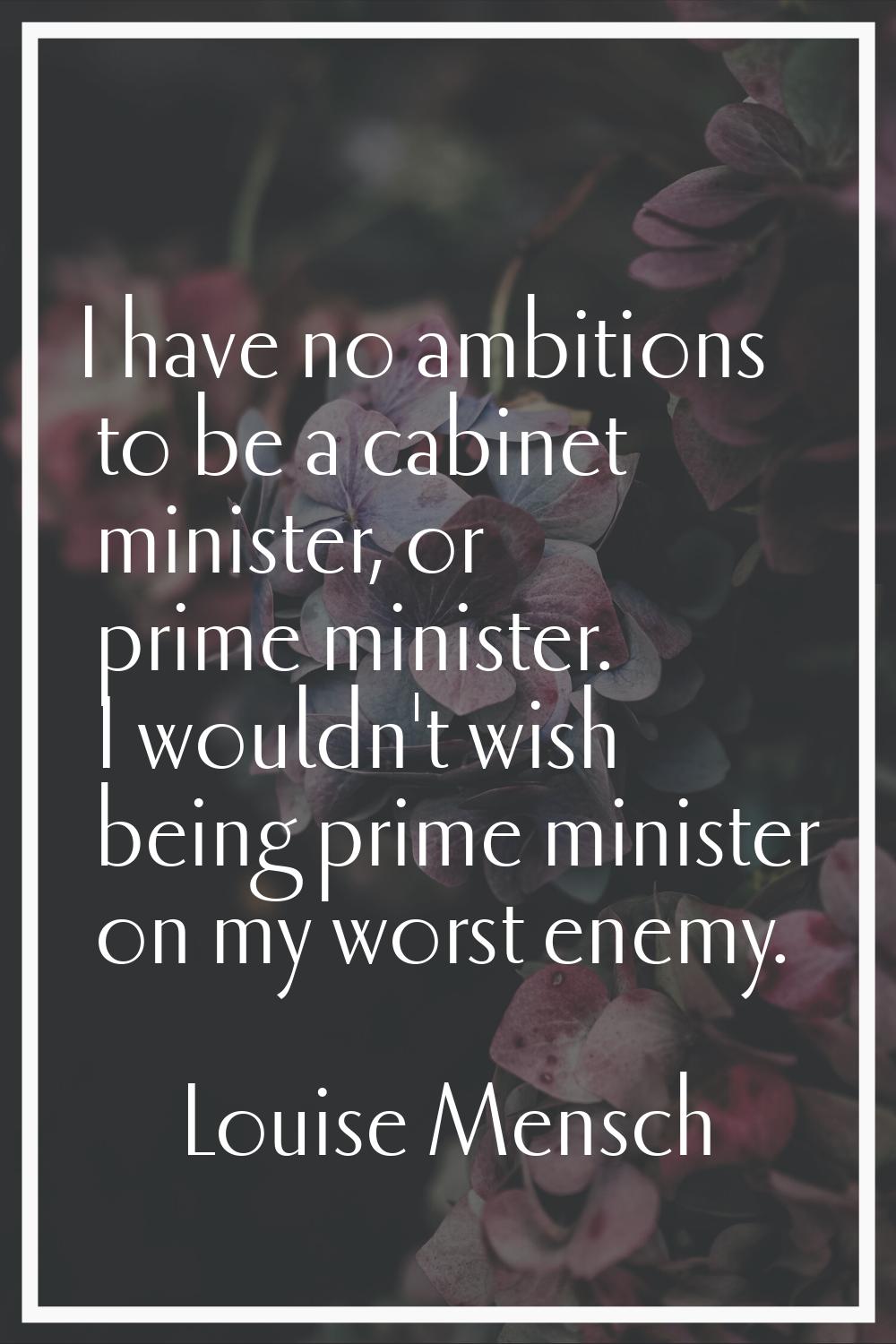 I have no ambitions to be a cabinet minister, or prime minister. I wouldn't wish being prime minist