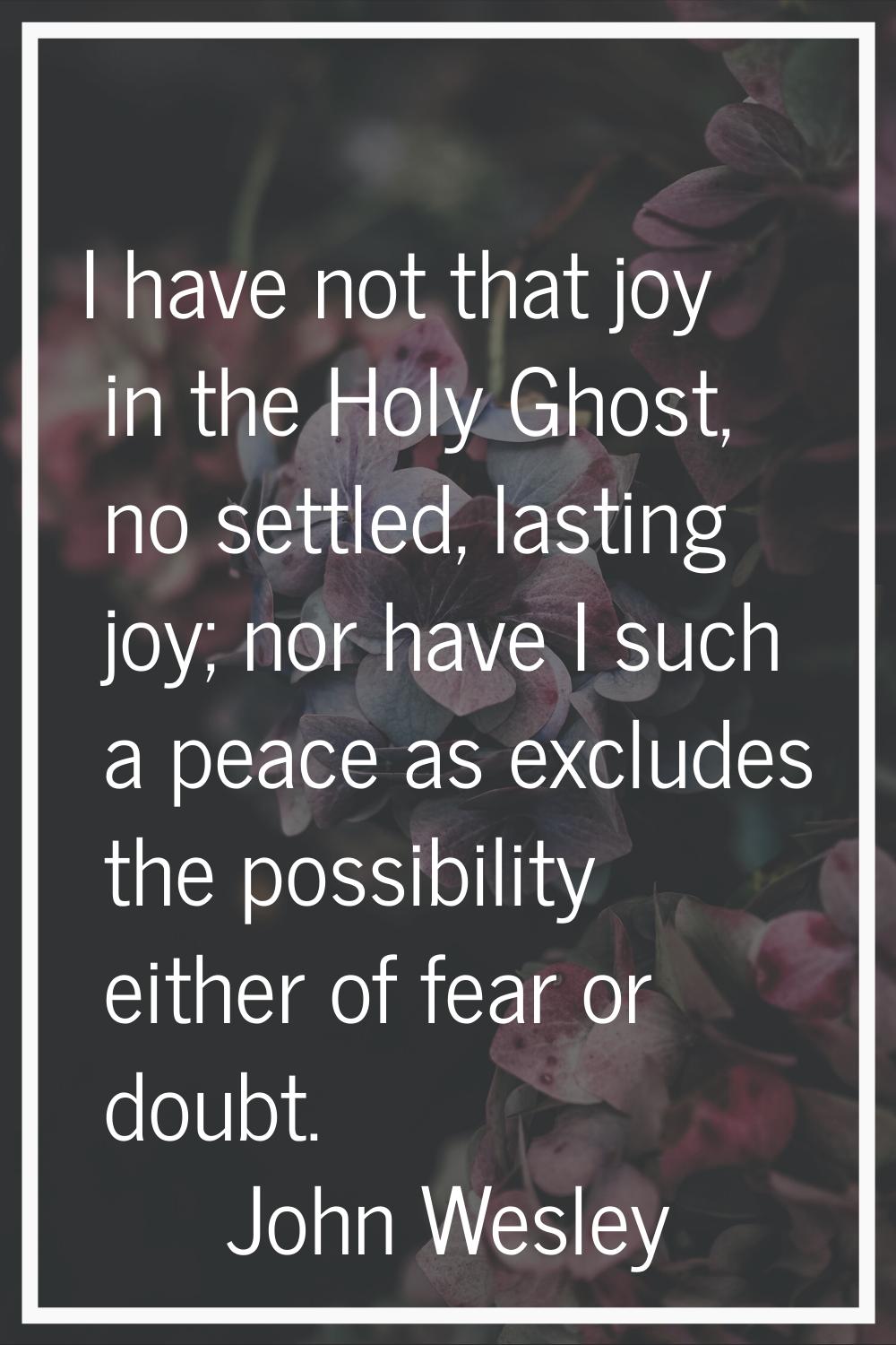 I have not that joy in the Holy Ghost, no settled, lasting joy; nor have I such a peace as excludes