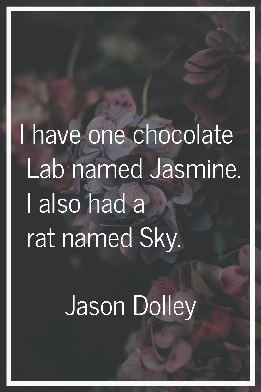 I have one chocolate Lab named Jasmine. I also had a rat named Sky.