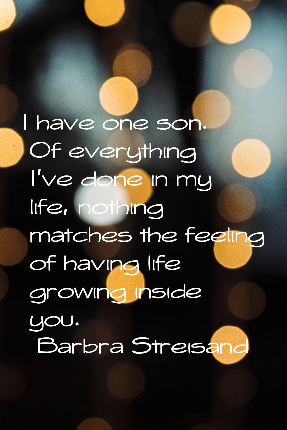 I have one son. Of everything I've done in my life, nothing matches the feeling of having life grow