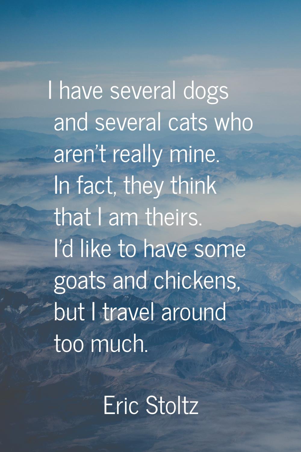 I have several dogs and several cats who aren't really mine. In fact, they think that I am theirs. 