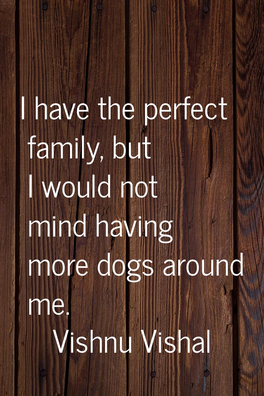 I have the perfect family, but I would not mind having more dogs around me.