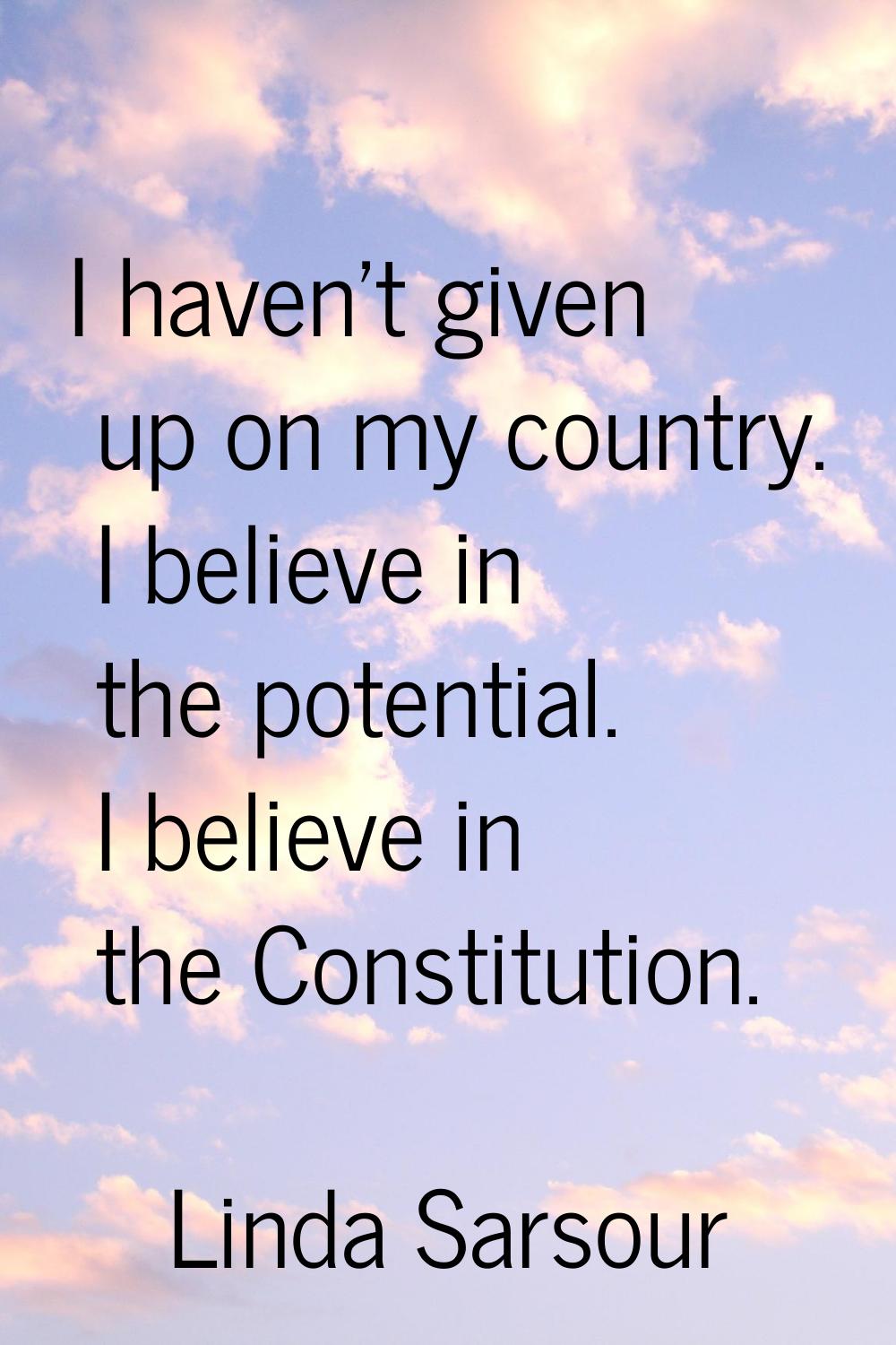 I haven't given up on my country. I believe in the potential. I believe in the Constitution.