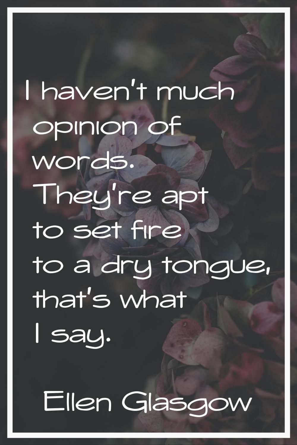 I haven't much opinion of words. They're apt to set fire to a dry tongue, that's what I say.