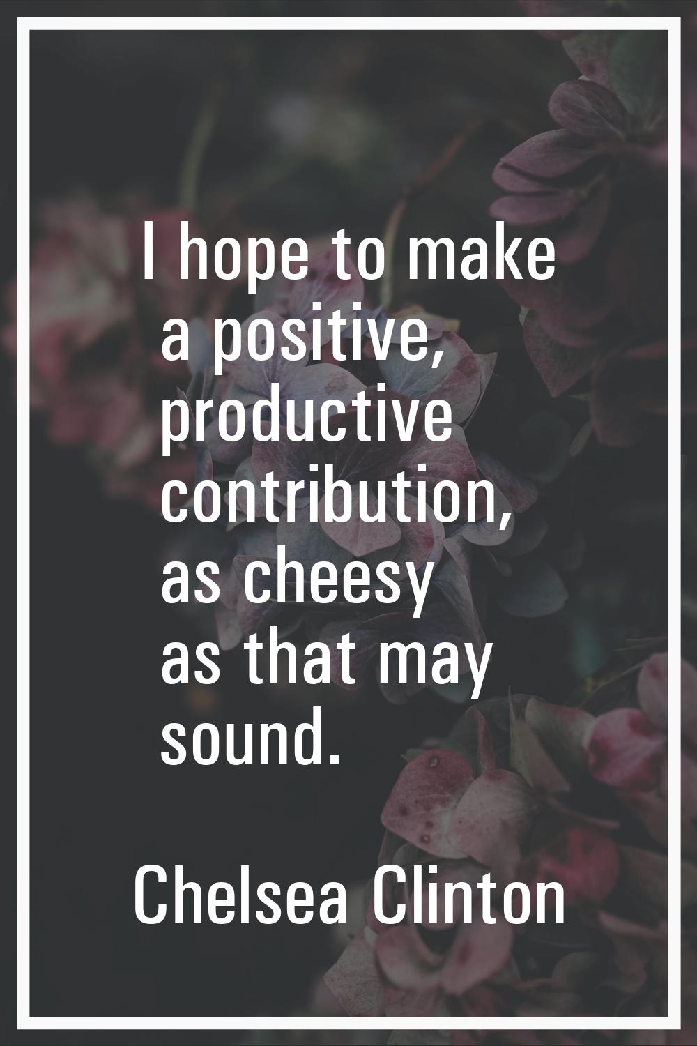 I hope to make a positive, productive contribution, as cheesy as that may sound.