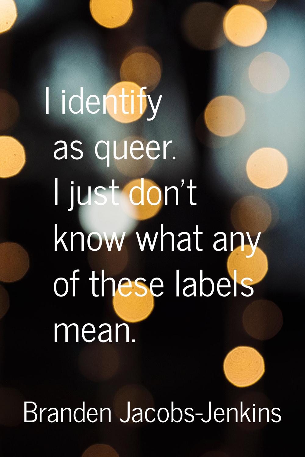 I identify as queer. I just don't know what any of these labels mean.