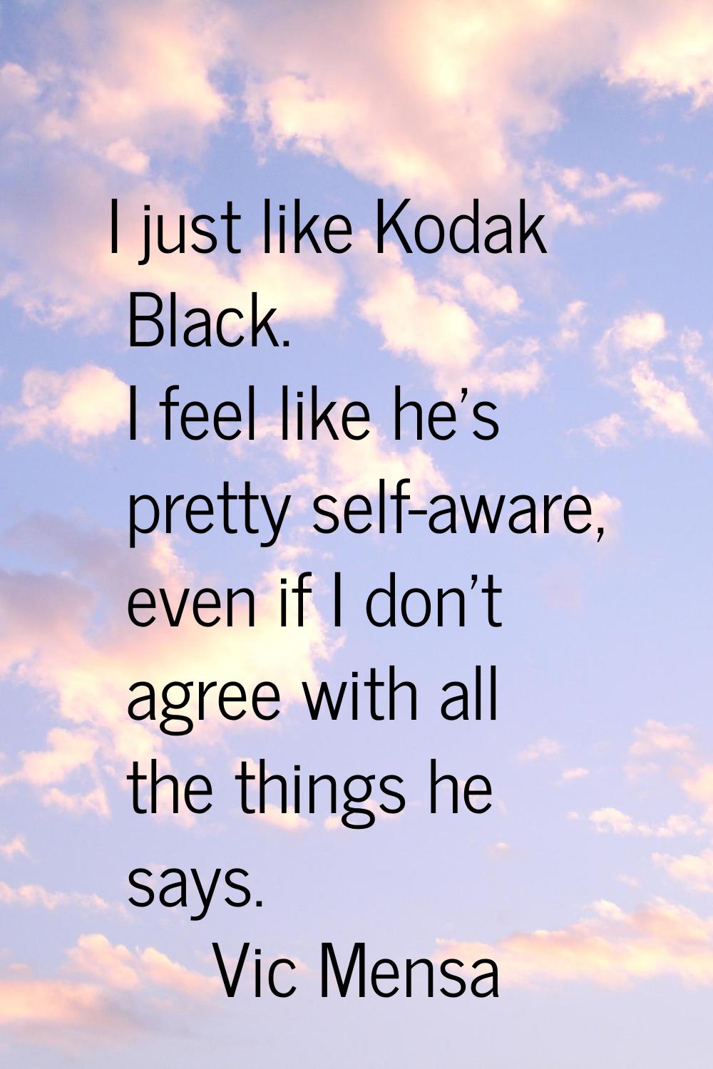 I just like Kodak Black. I feel like he's pretty self-aware, even if I don't agree with all the thi