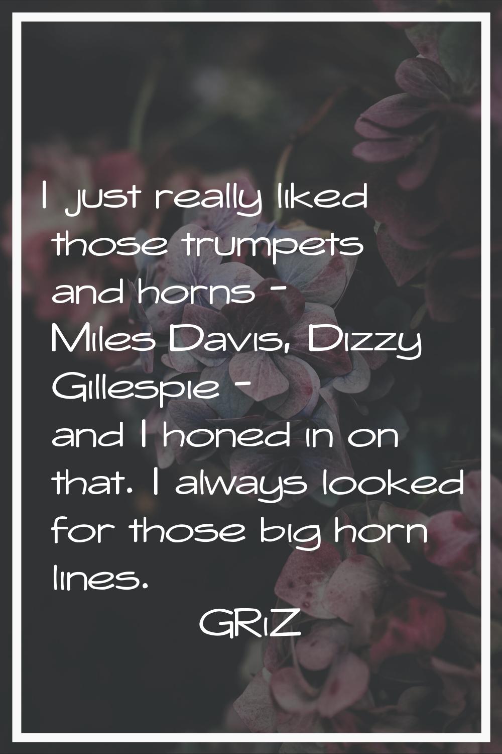 I just really liked those trumpets and horns - Miles Davis, Dizzy Gillespie - and I honed in on tha