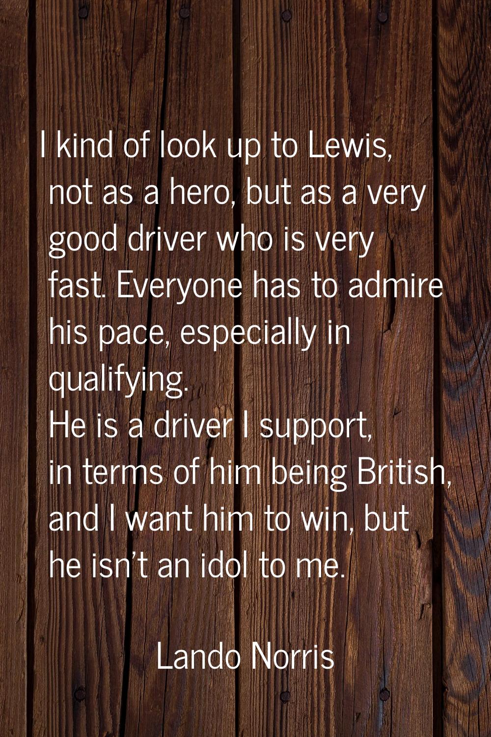 I kind of look up to Lewis, not as a hero, but as a very good driver who is very fast. Everyone has