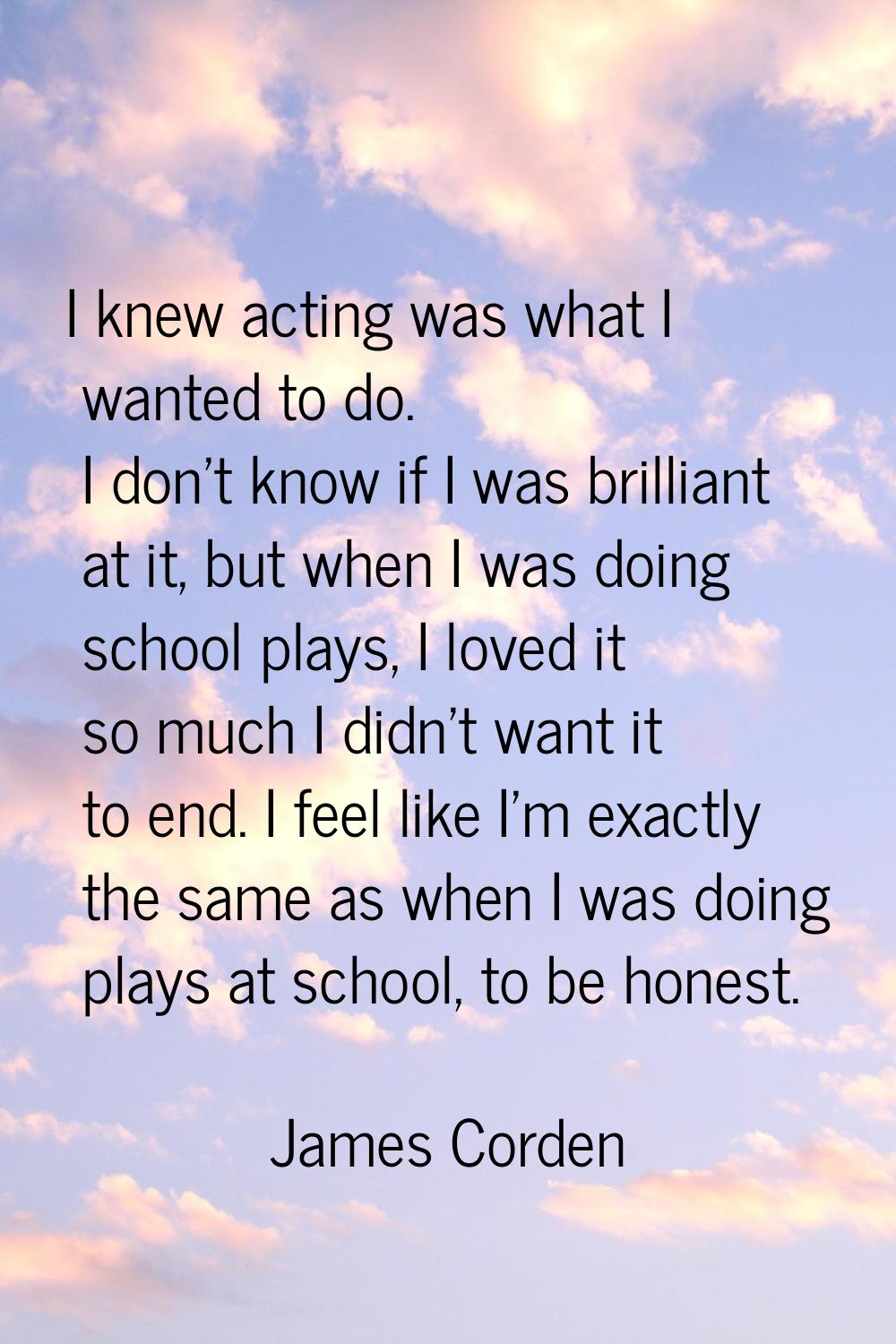 I knew acting was what I wanted to do. I don't know if I was brilliant at it, but when I was doing 