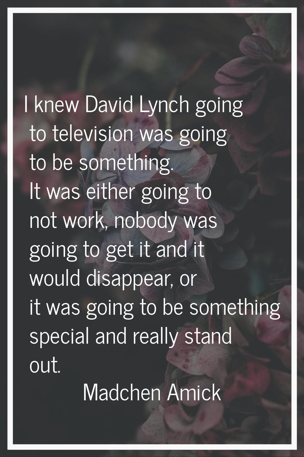 I knew David Lynch going to television was going to be something. It was either going to not work, 