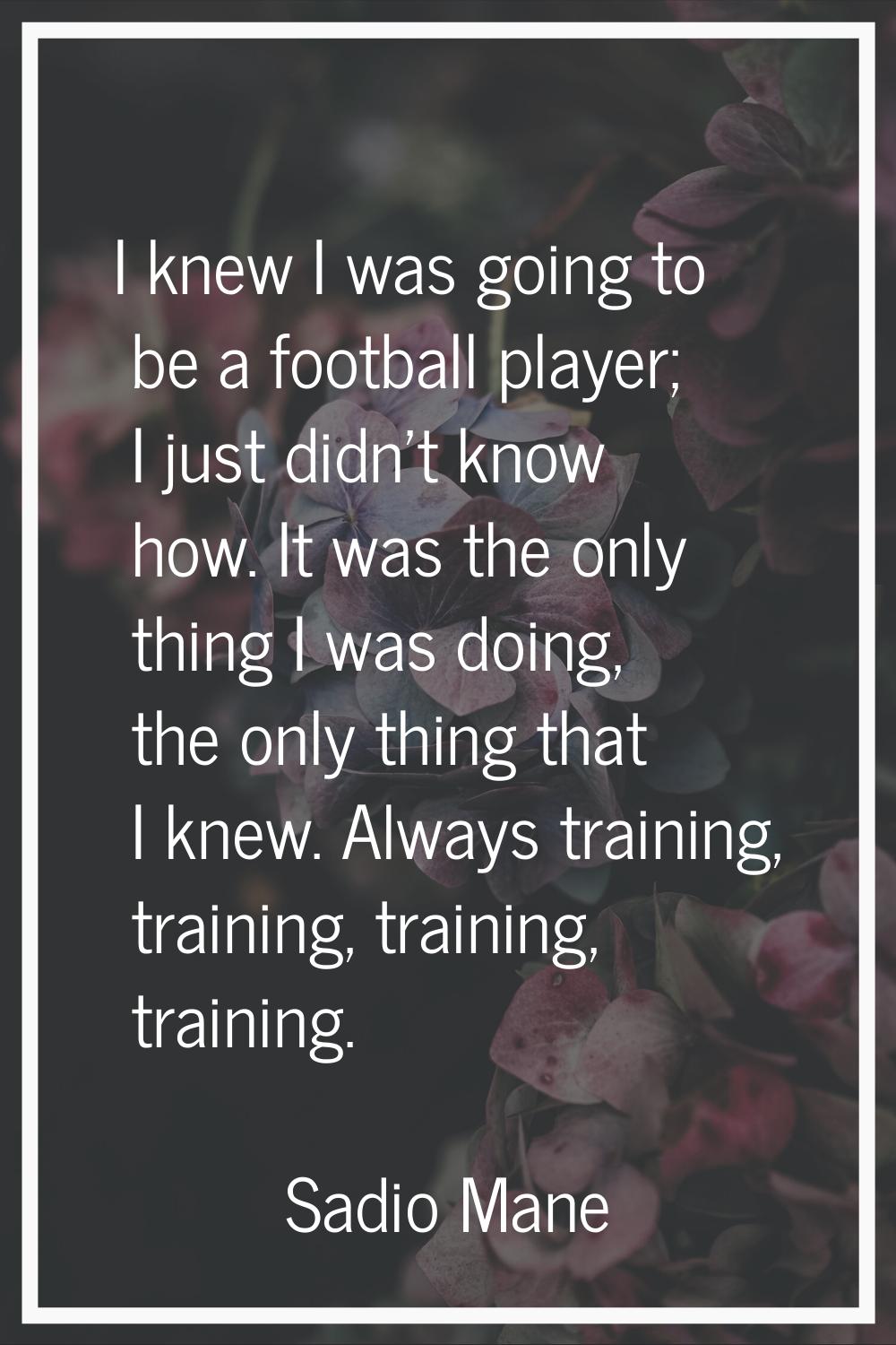 I knew I was going to be a football player; I just didn't know how. It was the only thing I was doi