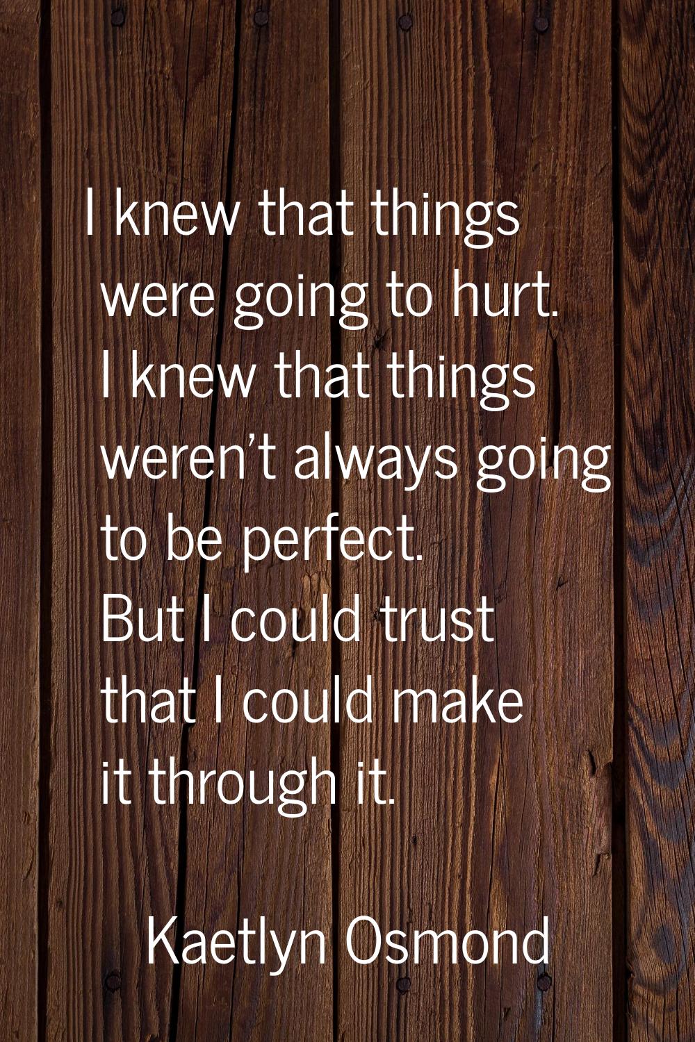 I knew that things were going to hurt. I knew that things weren't always going to be perfect. But I
