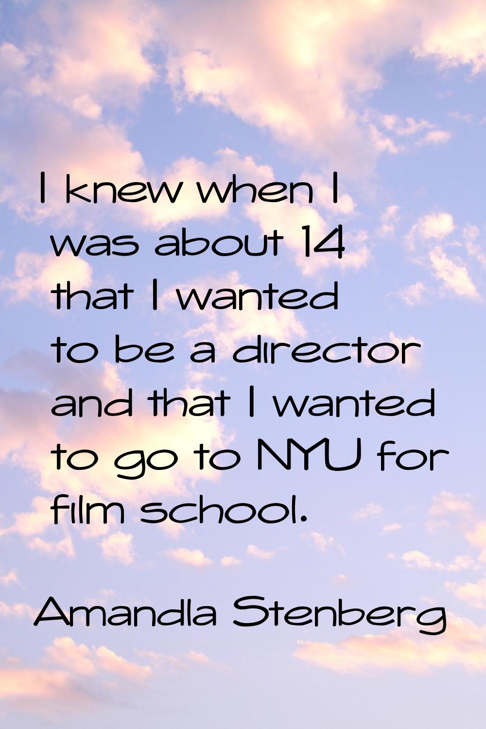 I knew when I was about 14 that I wanted to be a director and that I wanted to go to NYU for film s