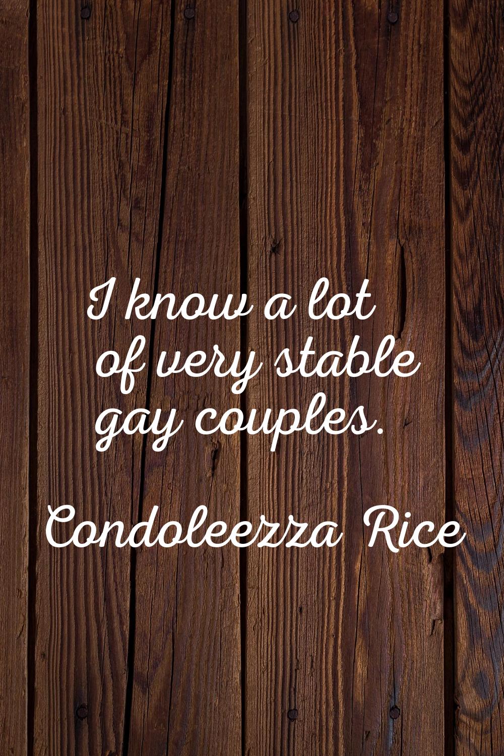 I know a lot of very stable gay couples.