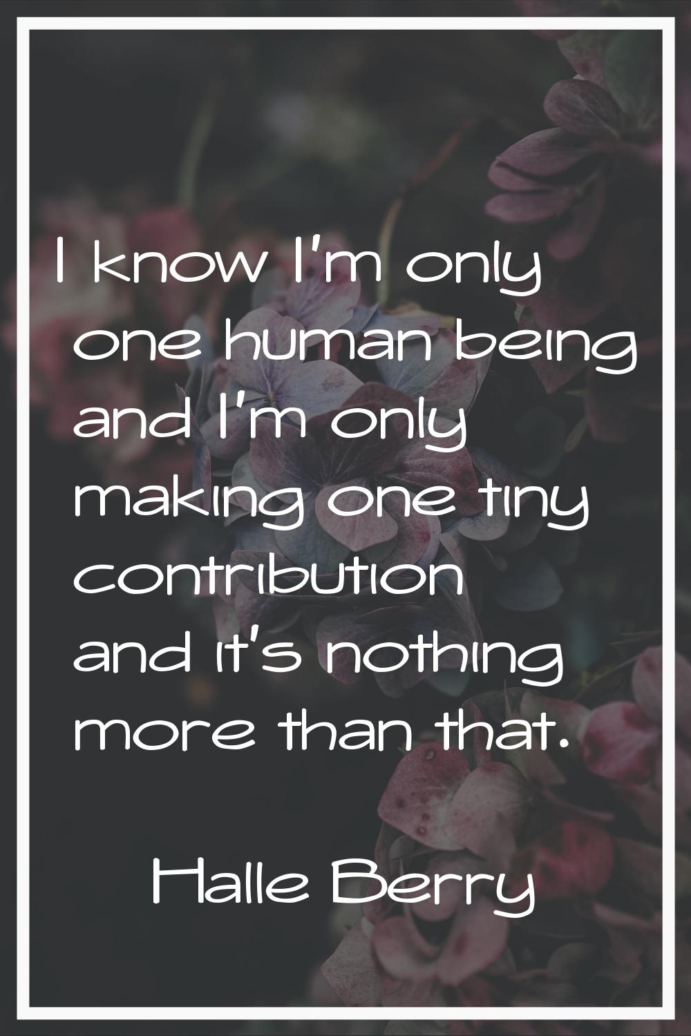 I know I'm only one human being and I'm only making one tiny contribution and it's nothing more tha