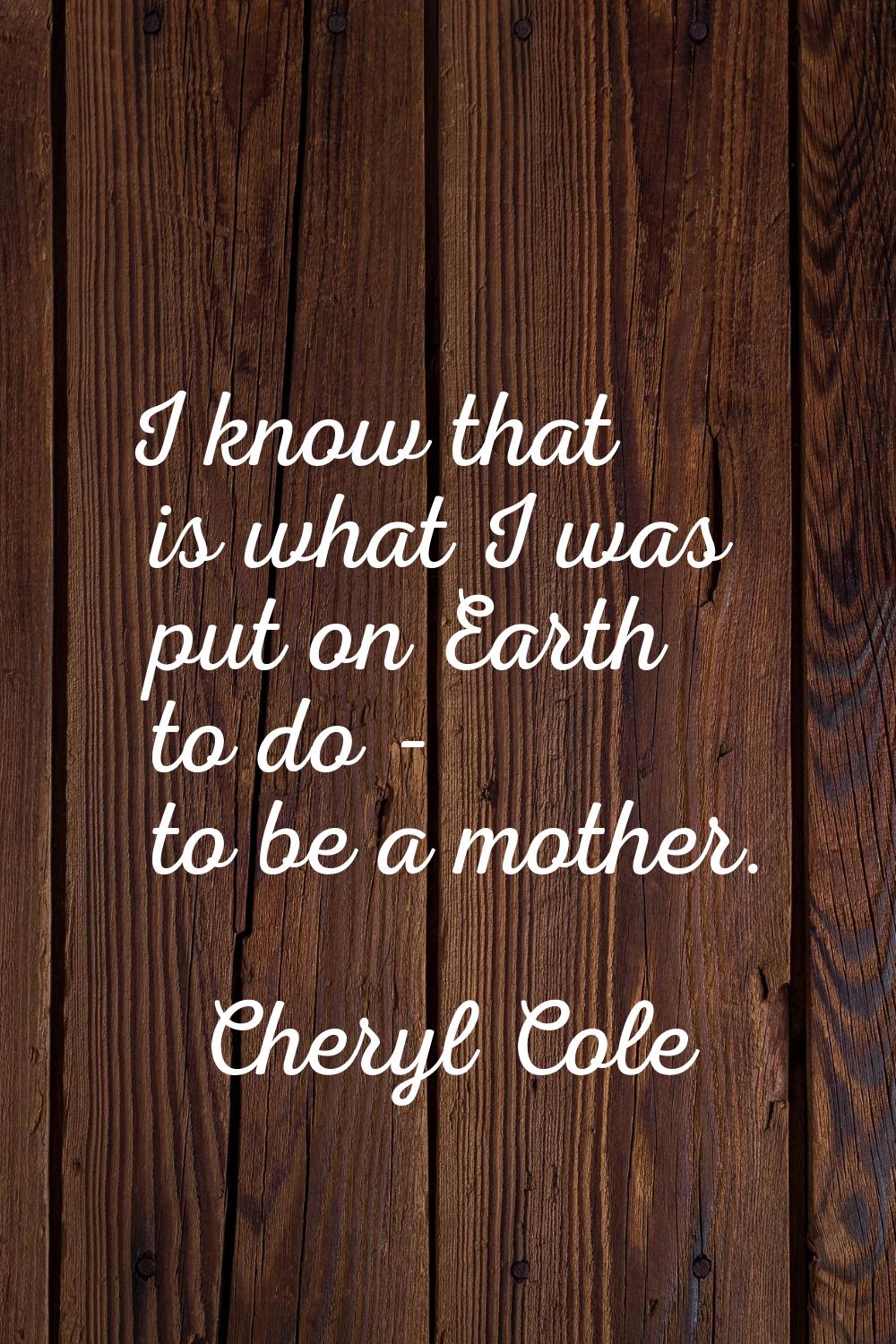I know that is what I was put on Earth to do - to be a mother.