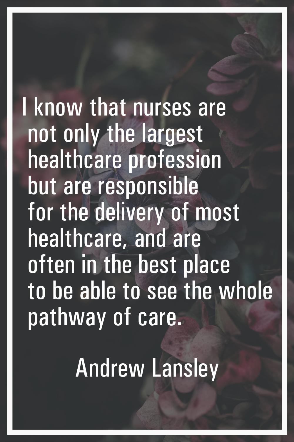 I know that nurses are not only the largest healthcare profession but are responsible for the deliv