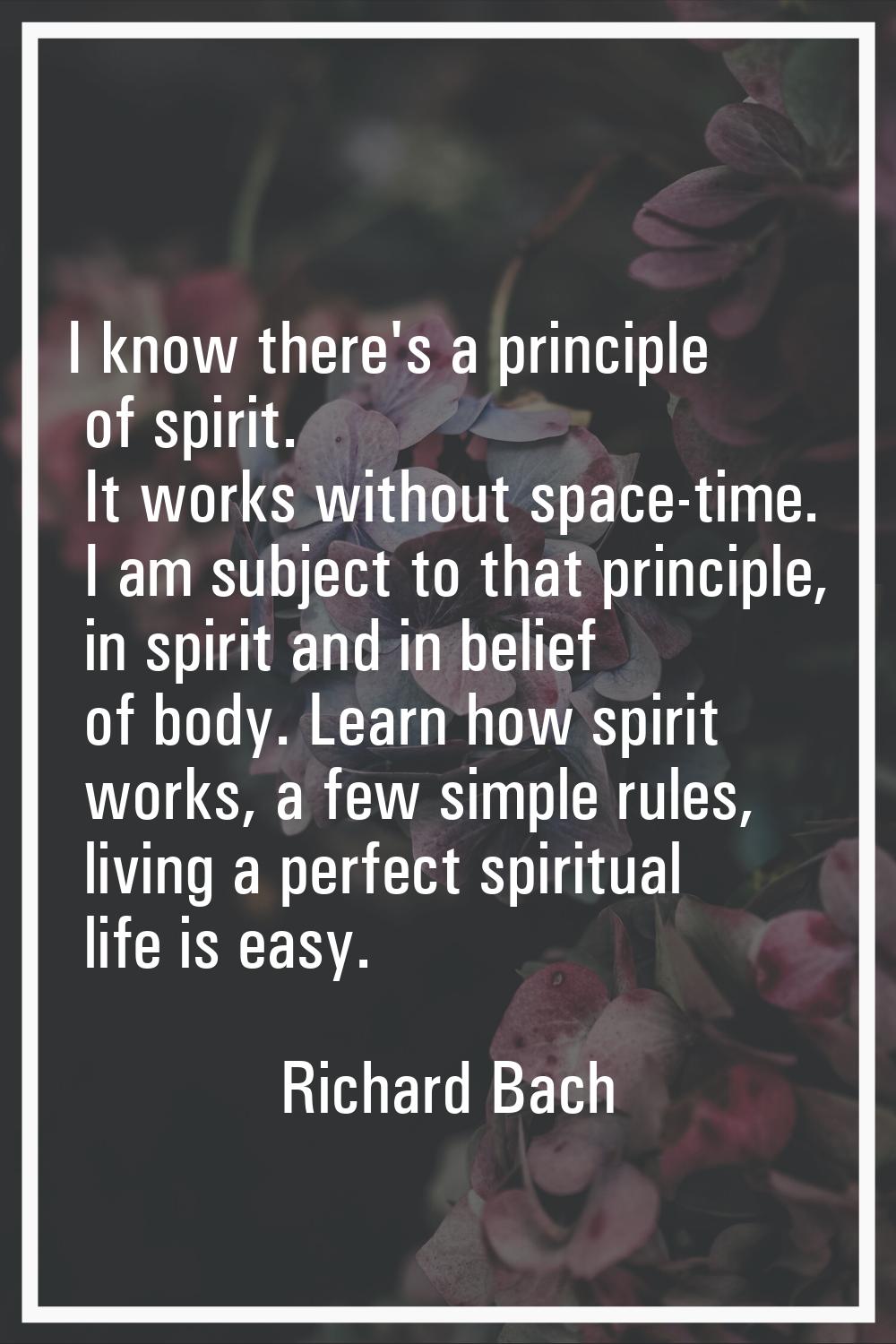 I know there's a principle of spirit. It works without space-time. I am subject to that principle, 