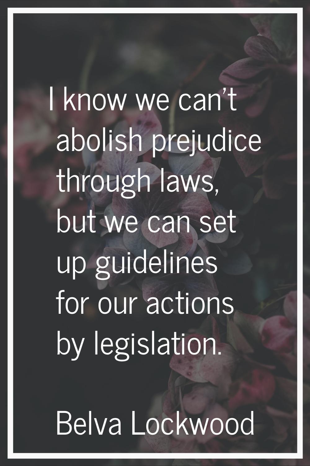 I know we can't abolish prejudice through laws, but we can set up guidelines for our actions by leg