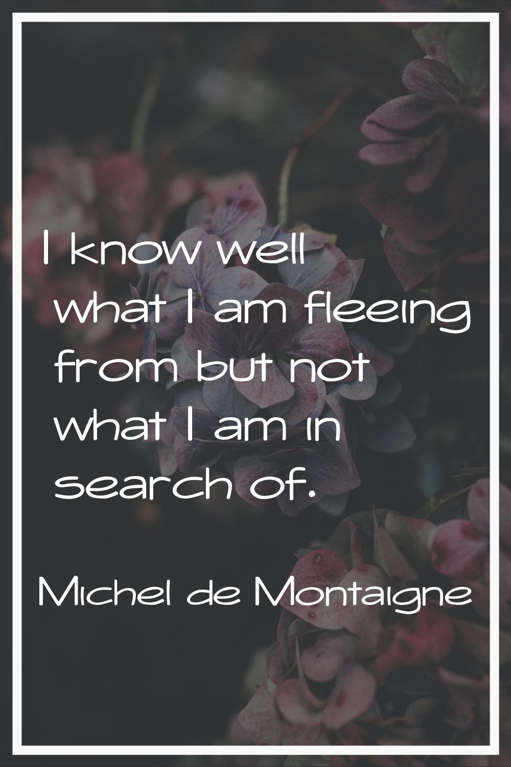 I know well what I am fleeing from but not what I am in search of.