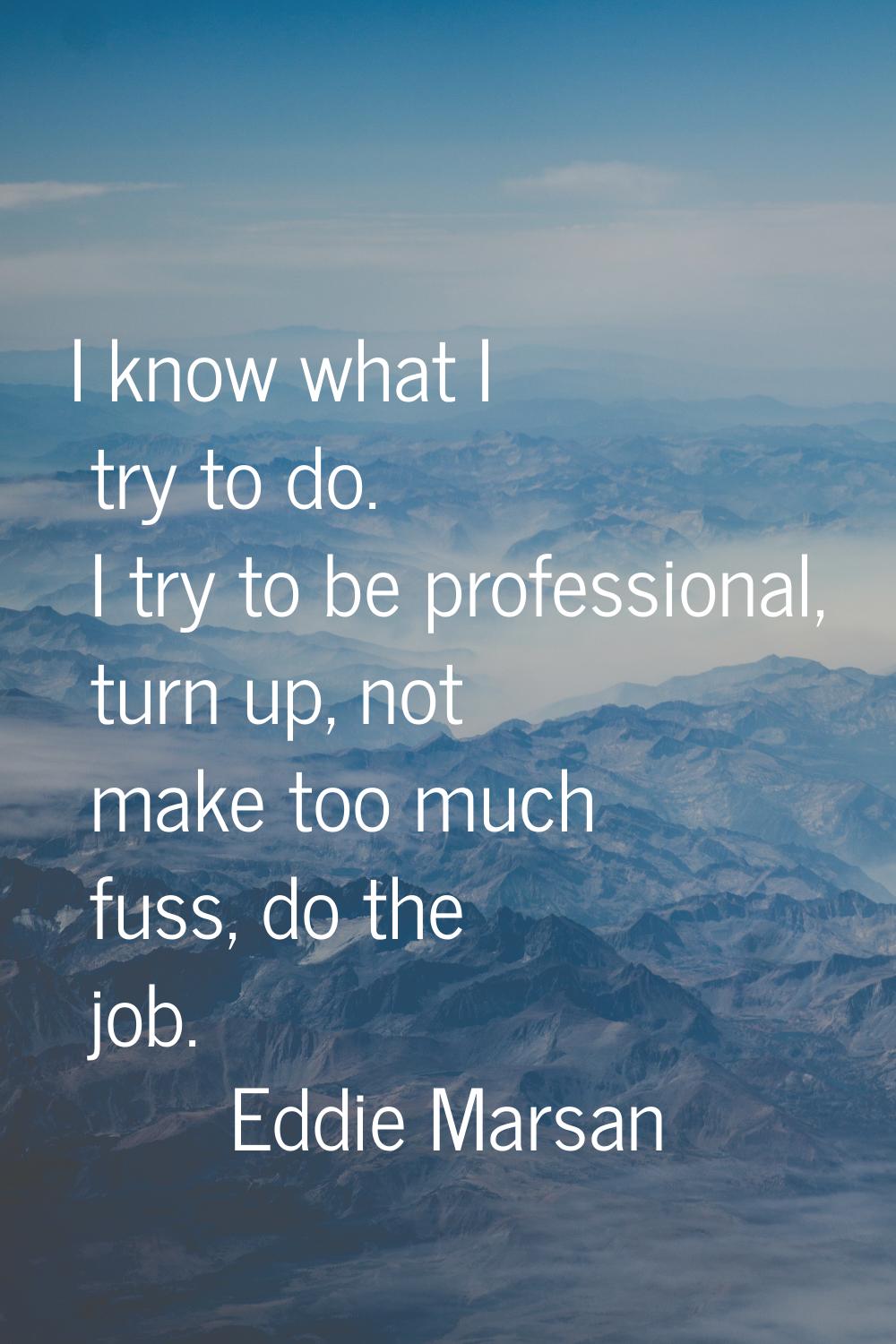 I know what I try to do. I try to be professional, turn up, not make too much fuss, do the job.